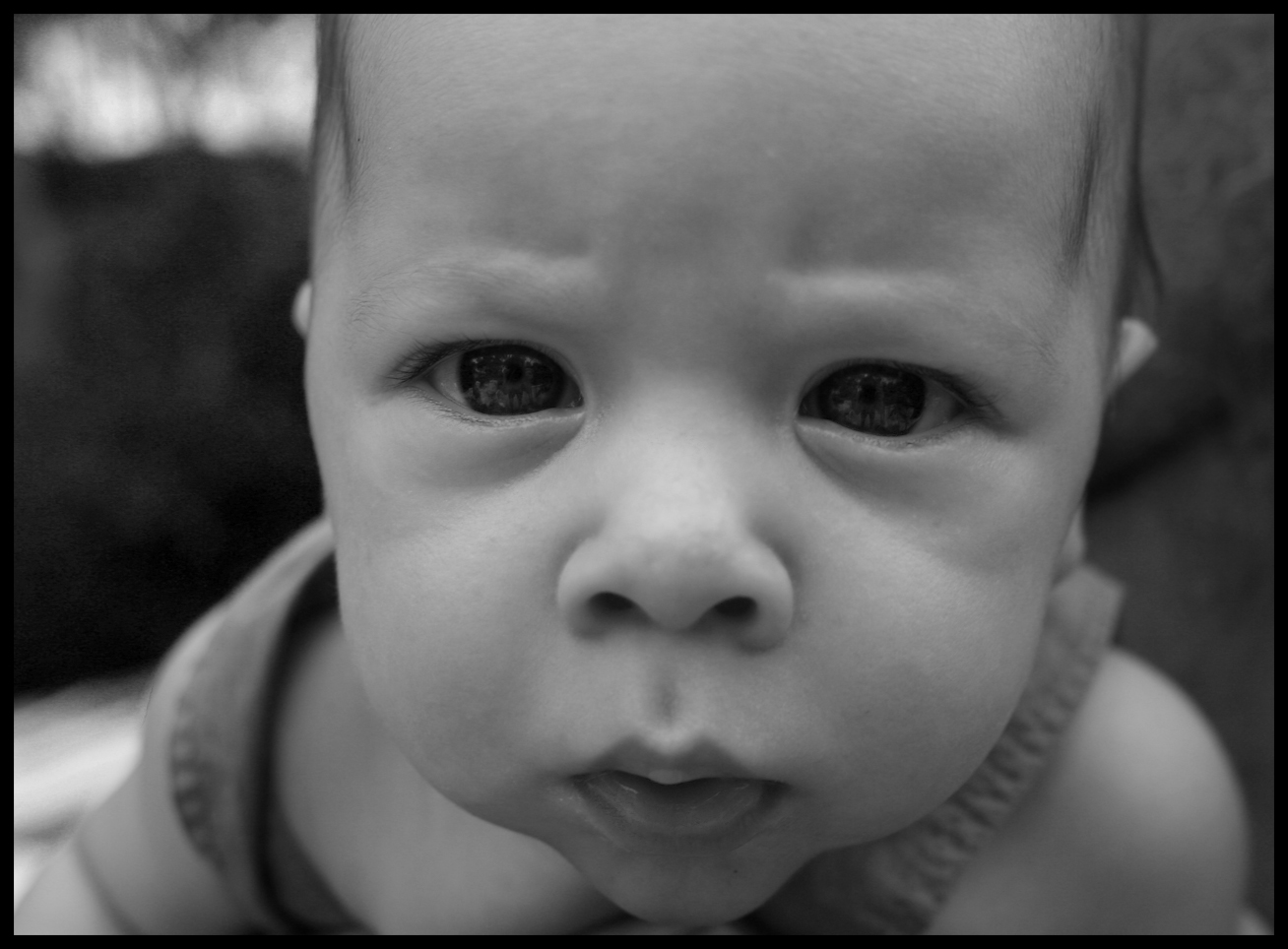 Le regarde d'un bébé hapto